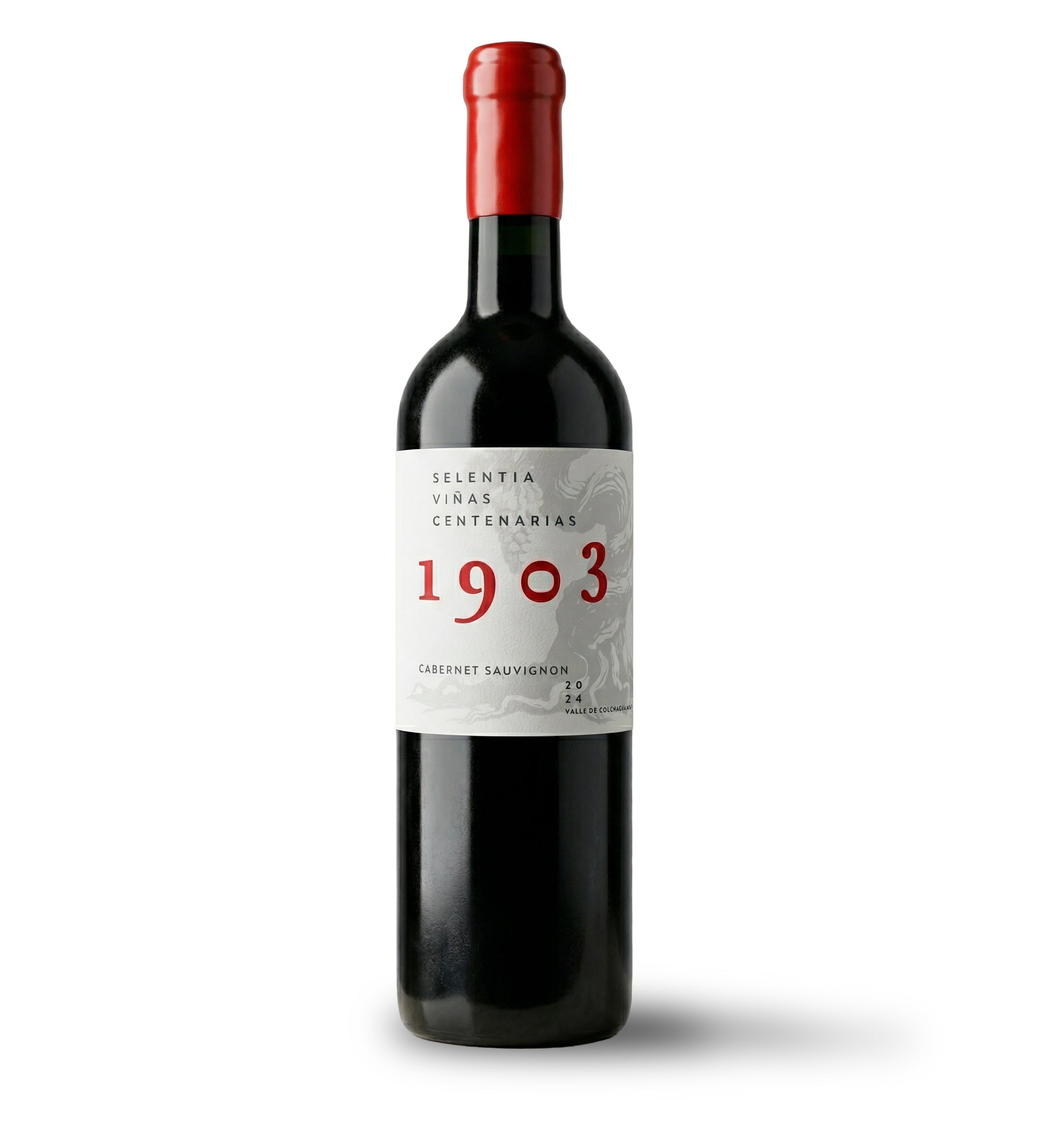 1903 | Caja x6