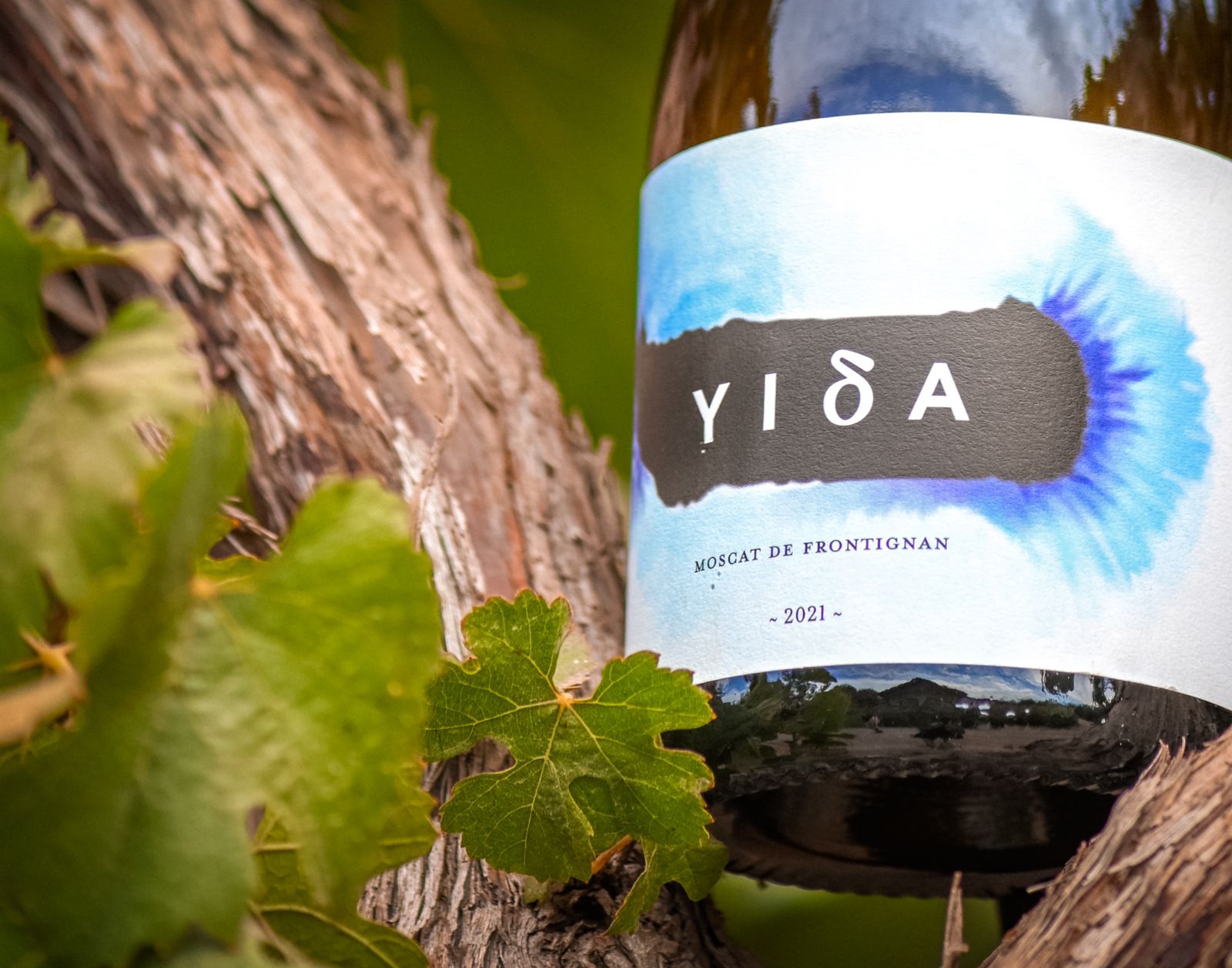 YIDA | Enologa's Choice | Caja x6